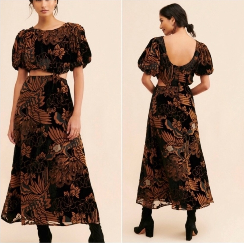 Anthropologie Velvet Let Me Be Burnout Dress Size XS